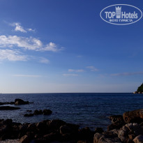 фото из отзыва ID 1577765