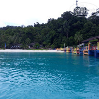 фото из отзыва ID 1577765