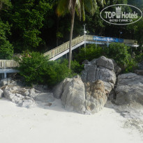 фото из отзыва ID 1577765