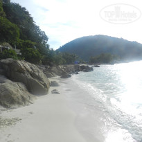 фото из отзыва ID 1577765