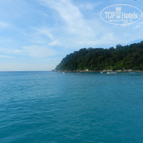 фото из отзыва ID 1577765