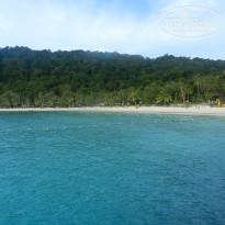 фото из отзыва ID 1577765