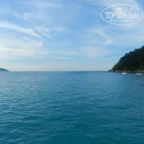 фото из отзыва ID 1577765