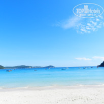 фото из отзыва ID 1577765