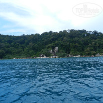 фото из отзыва ID 1577765