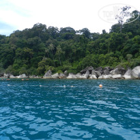 фото из отзыва ID 1577765