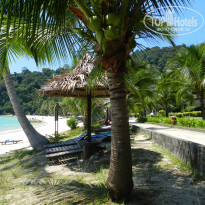 фото из отзыва ID 1577765