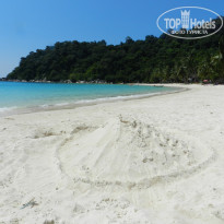 фото из отзыва ID 1577765