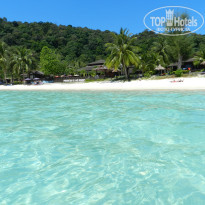 фото из отзыва ID 1577765