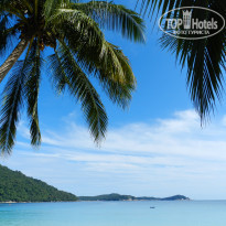 фото из отзыва ID 1577765