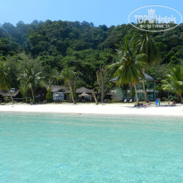 фото из отзыва ID 1577765