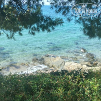 фото из отзыва ID 1577842