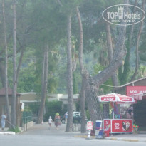 фото из отзыва ID 1578002