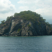 фото из отзыва ID 1578077