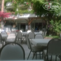 фото из отзыва ID 1578126