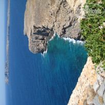 фото из отзыва ID 1572425