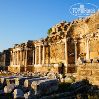 фото из отзыва ID 1578194