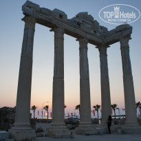 фото из отзыва ID 1578194