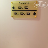 фото из отзыва ID 1578290