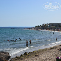 фото из отзыва ID 1578499