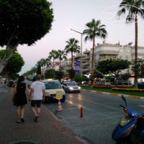 фото из отзыва ID 1578621