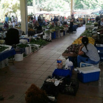 фото из отзыва ID 1578621