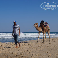 фото из отзыва ID 1573560