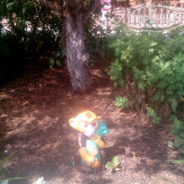 фото из отзыва ID 1578839