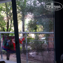 фото из отзыва ID 1578876