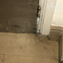 фото из отзыва ID 1578889