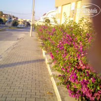 фото из отзыва ID 1578893