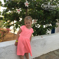 фото из отзыва ID 1578904