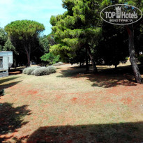 фото из отзыва ID 1578913