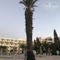 фото из отзыва ID 1579108