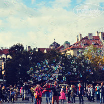 фото из отзыва ID 1579194