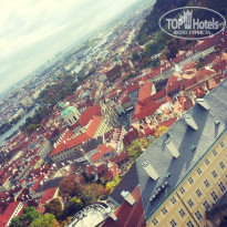 фото из отзыва ID 1579194