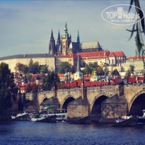 фото из отзыва ID 1579194