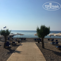 фото из отзыва ID 1579484