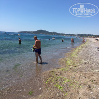 фото из отзыва ID 1579484