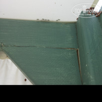 фото из отзыва ID 1579497