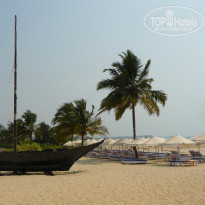 фото из отзыва ID 1579637