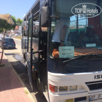 фото из отзыва ID 1579644