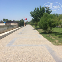 фото из отзыва ID 1579644