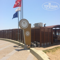 фото из отзыва ID 1579644