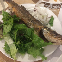 фото из отзыва ID 1579644