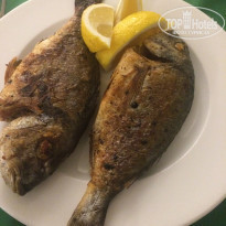 фото из отзыва ID 1579644