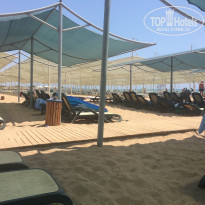 фото из отзыва ID 1579644