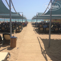 фото из отзыва ID 1579644