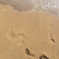 фото из отзыва ID 1579912