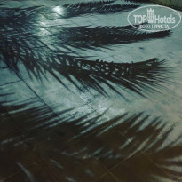 фото из отзыва ID 1579912